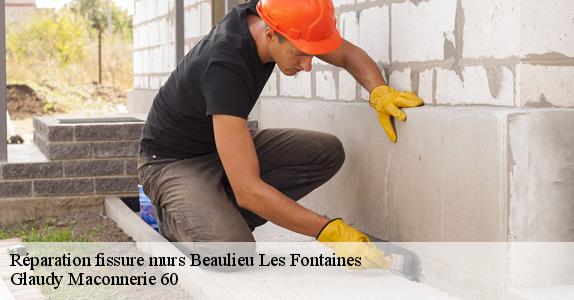 Réparation fissure murs  beaulieu-les-fontaines-60310 Glaudy Maconnerie 60