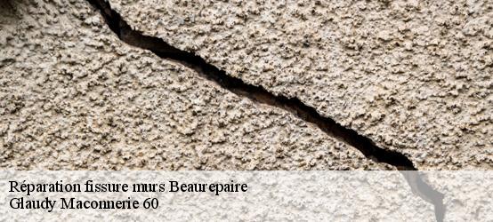 Réparation fissure murs  60700