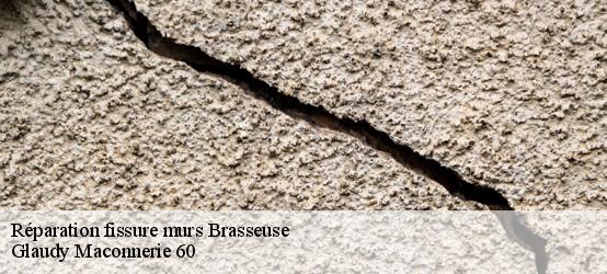 Réparation fissure murs  60810