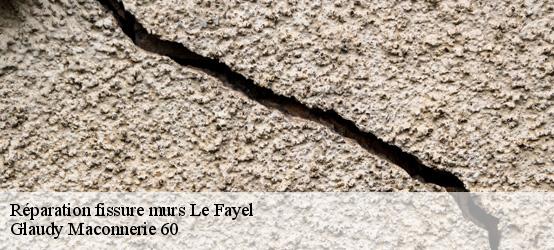 Réparation fissure murs  60680