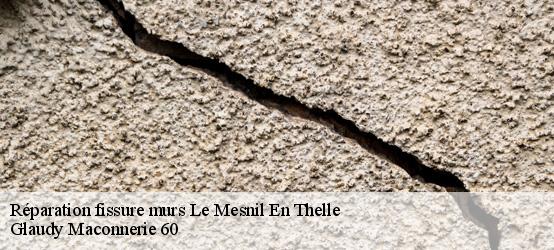 Réparation fissure murs  60530