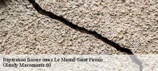 Réparation fissure murs  60120