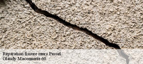 Réparation fissure murs  60400