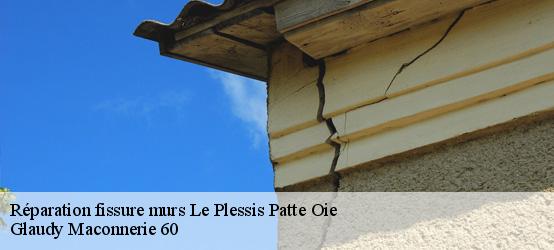 Réparation fissure murs  60640