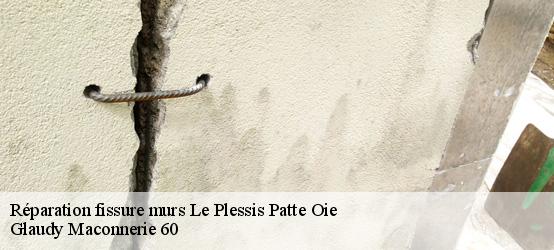 Réparation fissure murs  60640