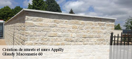 Création de murets et murs  60400