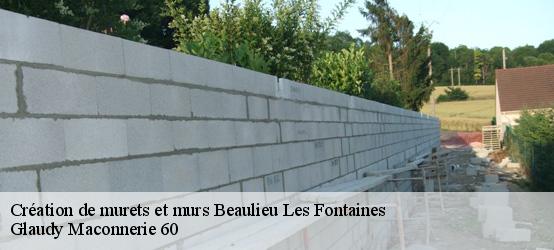 Création de murets et murs  60310