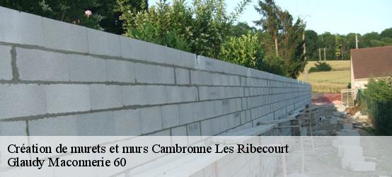 Création de murets et murs  60170